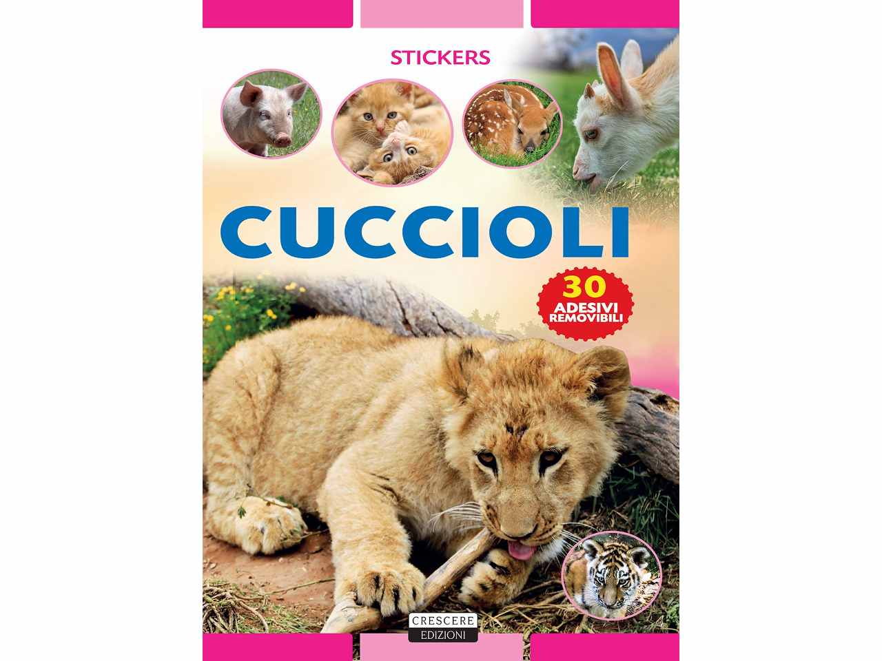 Libro con stickers